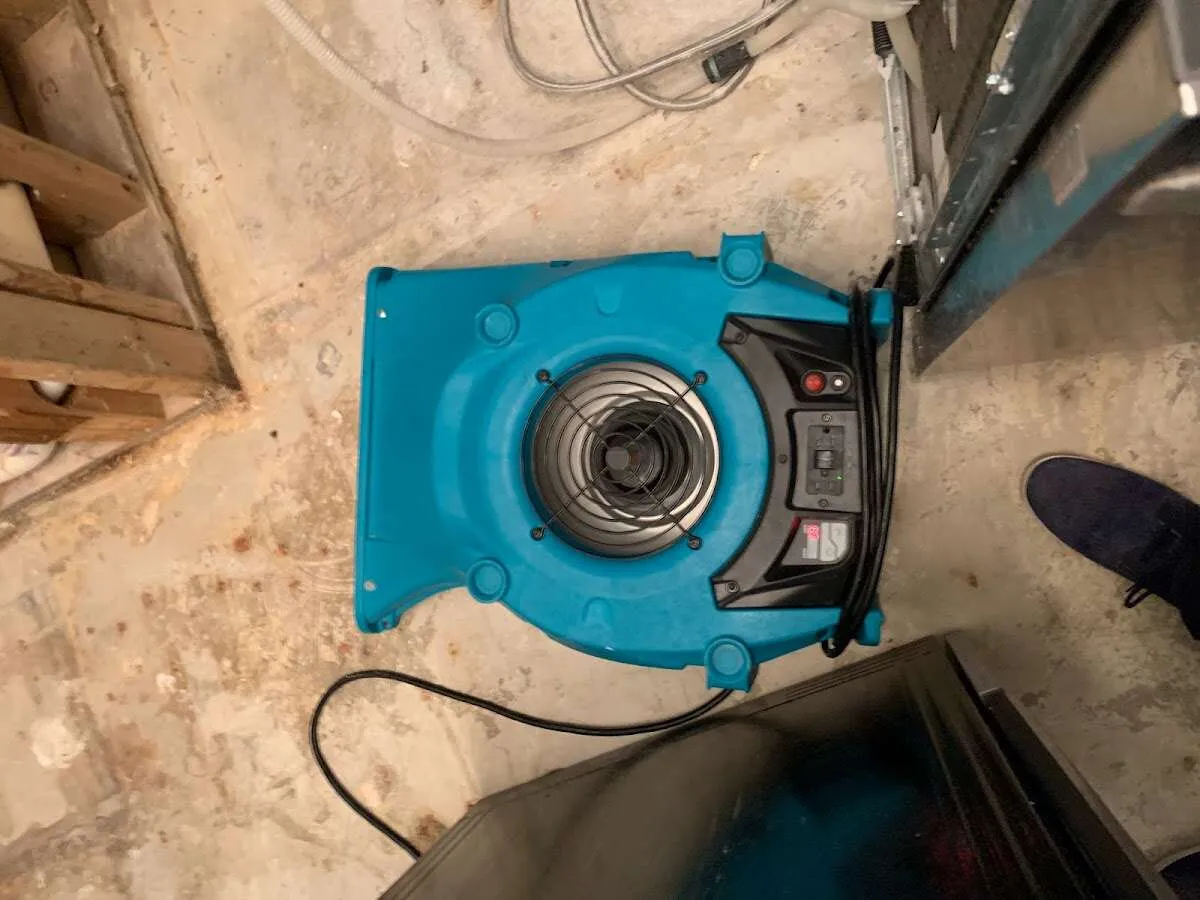 Air mover drying equipment for Mold Remediation & Removal in Granby